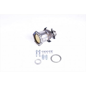CDT6006T Catalytic converter