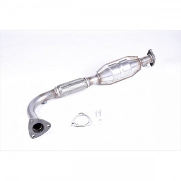 CVX6003T Catalytic converter