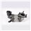 ALFA ROMEO 166 2.4 10/03-06/07 Catalytic Converter - AR6010T
